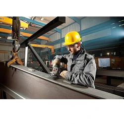 Углошлифовальная машина Metabo WEV 15-125 Quick (600468000) flexmag.md