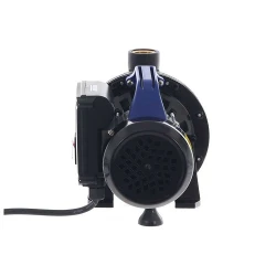 Насос поверхностный Annovi Reverberi ARGP600P flexmag.md