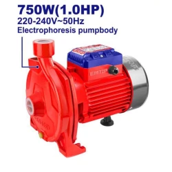 Pompa de suprafata Emtop EWPPC07501 flexmag.md