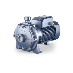 Pompa de suprafata Pedrollo 2CP25-160AX flexmag.md