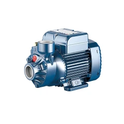 Pompa de suprafata Pedrollo PKm65 flexmag.md