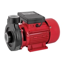 Pompa de suprafata pentru gradina RD-1.5DK20 flexmag.md