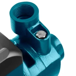 Pompa de suprafata pentru gradina Ronix RH-4020 flexmag.md