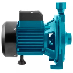 Насос поверхностный для сада Ronix RH-4021 flexmag.md