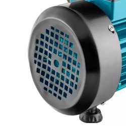Насос поверхностный для сада Ronix RH-4021 flexmag.md