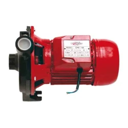 Pompa de suprafata Raider RD-CPM158 flexmag.md