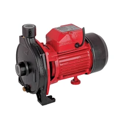 Pompa de suprafata Raider RD-WP158 flexmag.md
