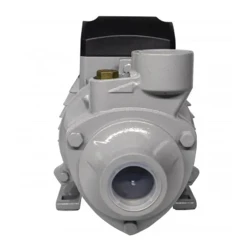 Pompa de suprafata Resanta ПСН-3300Ч flexmag.md