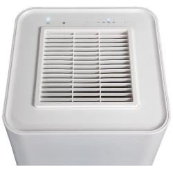 Purificator de aer Bort Silver Air flexmag.md