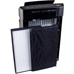 Очиститель воздуха Panasonic F-VXR50R-K, Черный flexmag.md