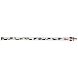 Лазерный уровнемер Bosch B0601094600 flexmag.md