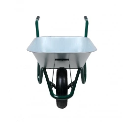 Roaba Detex D1 Verde 400-8 PR flexmag.md