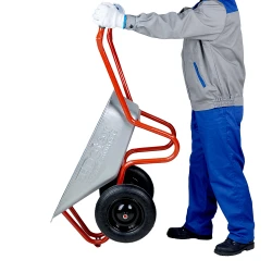 Roaba Detex orange, pe 2 roti flexmag.md