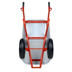 Roaba Detex orange, pe 2 roti flexmag.md