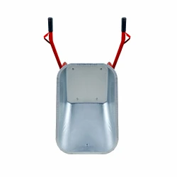Roaba Detex orange, pe 2 roti flexmag.md