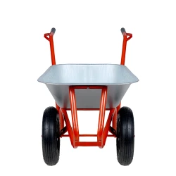Roaba Detex orange, pe 2 roti flexmag.md