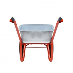 Roaba Detex orange, pe 2 roti flexmag.md