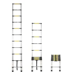 Scara telescopica 32226 flexmag.md