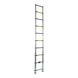 Лестница телескопическая Detoolz DZ-C243 flexmag.md
