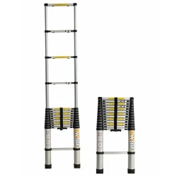 Scara telescopica Technoworker 10x1 flexmag.md