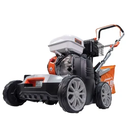 Scarificator-aerator pe benzina Ruris RXH999 flexmag.md