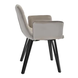 Scaun Deco DC-18 Beige flexmag.md
