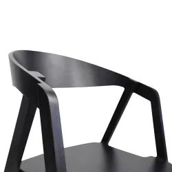 Стул Deco Guru Black+Black Leg flexmag.md
