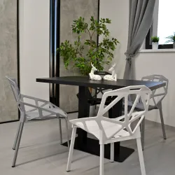 Scaun pentru gradina Deco ST-14 White flexmag.md