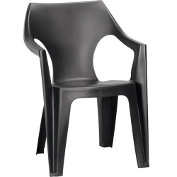 Scaun pentru gradina Keter Dante Low Back Graphite (207063) flexmag.md