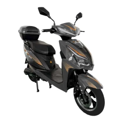 Электрический скутер Weter VOR82304 flexmag.md