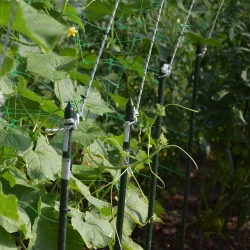Seră de grădină profesională Demetra Italia, 18m2, 4-4.5-2.5m flexmag.md