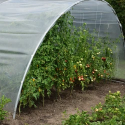 Seră de grădină profesională Demetra Italia, 18m2, 4-4.5-2.5m flexmag.md