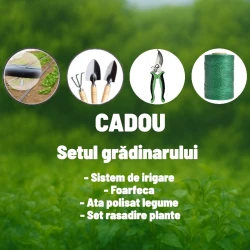 Sera pentru gradina Demetra 4,5 m-3 m-2 m flexmag.md