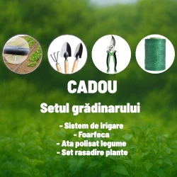 Sera pentru gradina Demetra 8 m-3 m-2 m flexmag.md