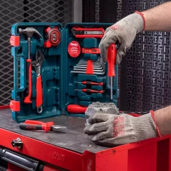 Набор инструментов и аксессуаров Ronix RS-0003 flexmag.md