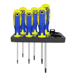 Set surubelinite S&R 250681206 flexmag.md