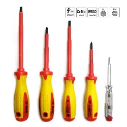 Set surubelinite S&R 250681305 flexmag.md