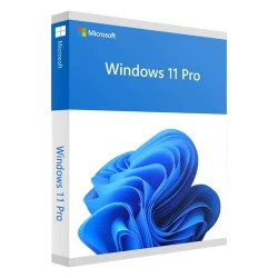 Sistem de operare Windows HOME FPP 11 64BIT ENG INTL flexmag.md