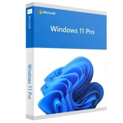 Sistem de operare Windows PRO FPP 11 64BIT ENG INTL NON-E flexmag.md