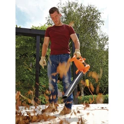 Suflanta aspirator de frunze Black+Decker GW2500-QS flexmag.md