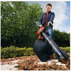 Suflanta aspirator de frunze Black+Decker GW3050-QS flexmag.md
