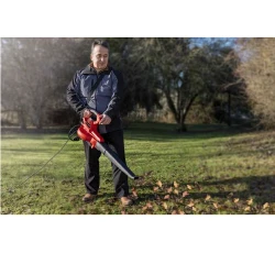 Suflanta aspirator de frunze Einhell GC-EL 3000 E flexmag.md