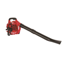 Suflanta aspirator de frunze pe benzina Raider RD-GBV05 flexmag.md