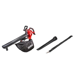 Suflanta aspirator de frunze Raider RD-EBV05 flexmag.md