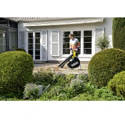 Suflanta aspirator pe acumulator Karcher BLV 18-200 Battery flexmag.md
