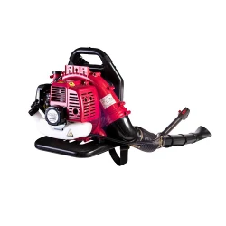 Suflanta de frunze pe benzina Raider RD-GB06 flexmag.md