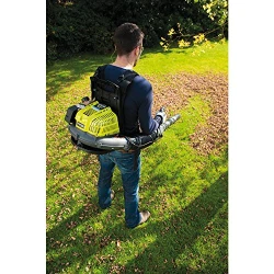 Suflanta de frunze pe benzina Ryobi RBL42BP flexmag.md