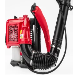 Suflanta pe benzina Red Technic RTODL0059 flexmag.md