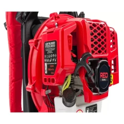 Suflanta pe benzina Red Technic RTODL0059 flexmag.md