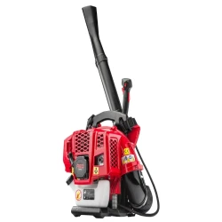 Воздуходувка бензиновая листоввя Red Technic RTODL0059 flexmag.md